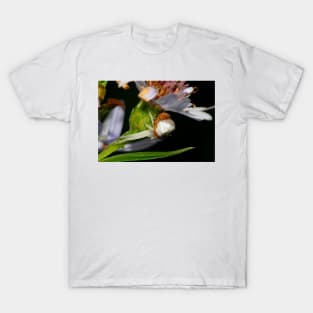 The embrace T-Shirt